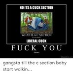 NO ITS a CUCK SECTION WHAT IS a C SECTION Is It a Cum Sectio